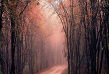 开云棋牌官网-从圣城到华南，当圣保罗的个人艺术照亮广东的逆转之夜