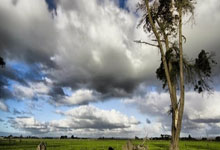 开云棋牌官网-冷箭穿心！葡萄牙爆冷负格鲁吉亚引爆欧洲杯，死亡之组暗藏玄机