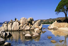 开云棋牌官网-阿根廷强势逆转巴西，阿尔瓦雷斯耀眼全场的战魂崛起