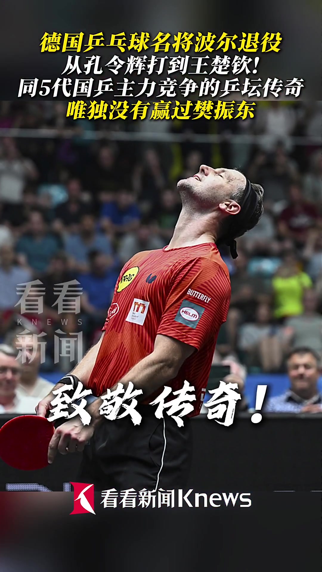 日本乒乓球队绝杀法国乒乓球队，波尔爆发神勇的简单介绍